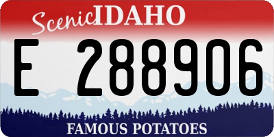 ID license plate E288906
