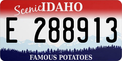 ID license plate E288913
