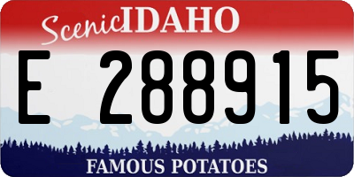 ID license plate E288915