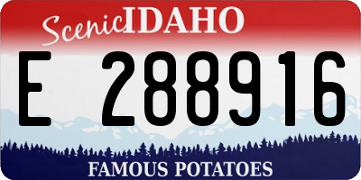 ID license plate E288916