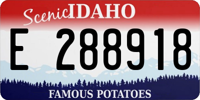 ID license plate E288918
