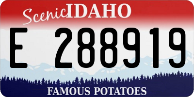 ID license plate E288919