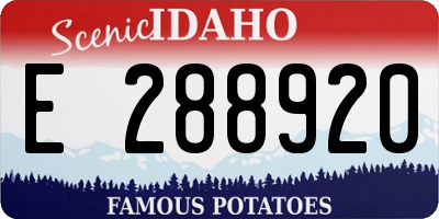 ID license plate E288920