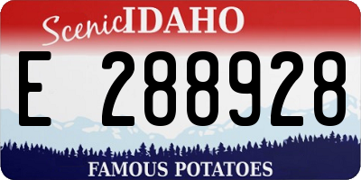 ID license plate E288928