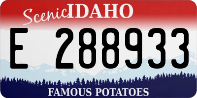 ID license plate E288933