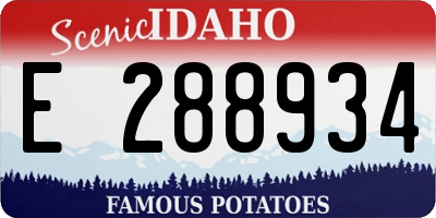 ID license plate E288934