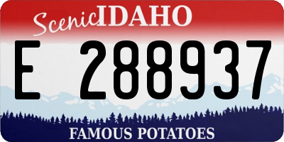 ID license plate E288937