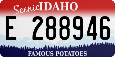 ID license plate E288946