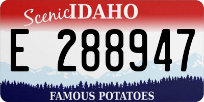 ID license plate E288947