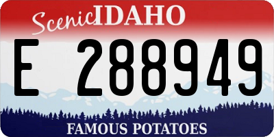 ID license plate E288949