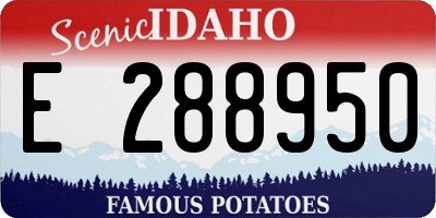 ID license plate E288950
