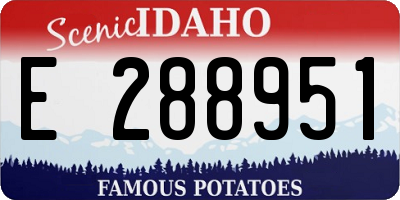 ID license plate E288951