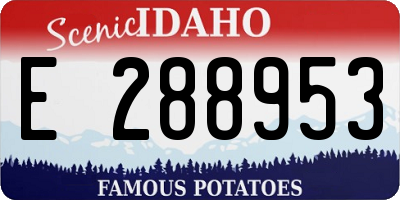 ID license plate E288953