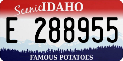 ID license plate E288955