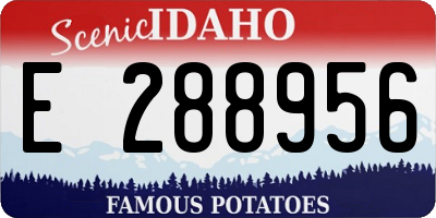 ID license plate E288956