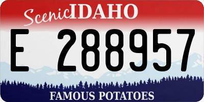 ID license plate E288957