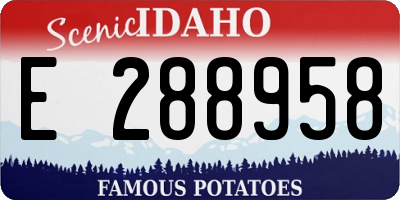 ID license plate E288958