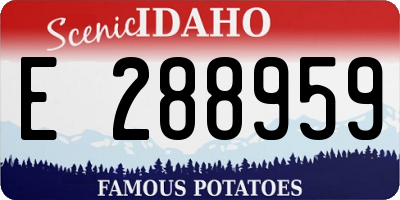 ID license plate E288959