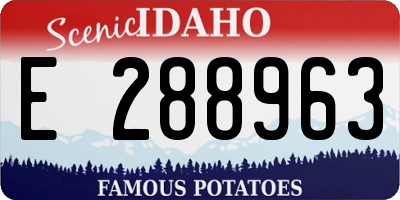 ID license plate E288963
