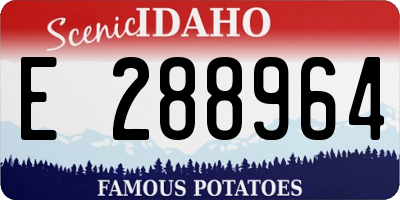 ID license plate E288964