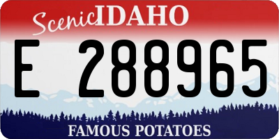 ID license plate E288965