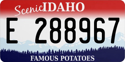 ID license plate E288967