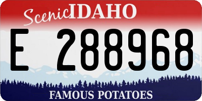 ID license plate E288968