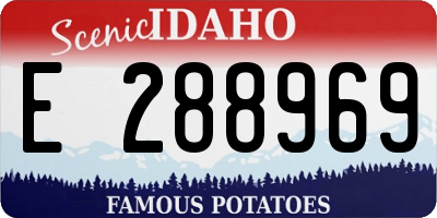 ID license plate E288969