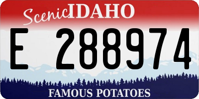 ID license plate E288974