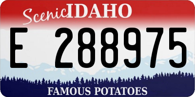 ID license plate E288975