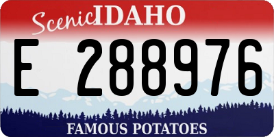 ID license plate E288976