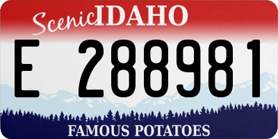 ID license plate E288981