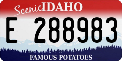 ID license plate E288983