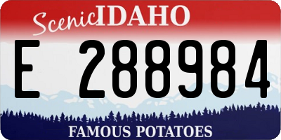 ID license plate E288984