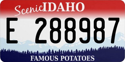 ID license plate E288987