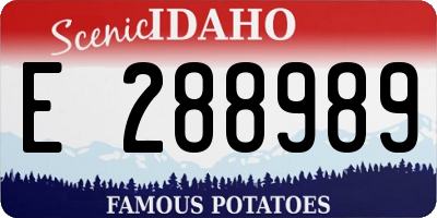 ID license plate E288989