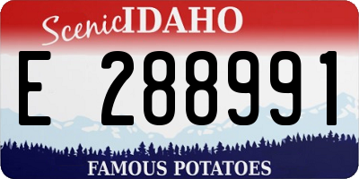 ID license plate E288991
