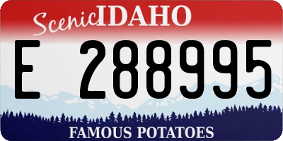ID license plate E288995