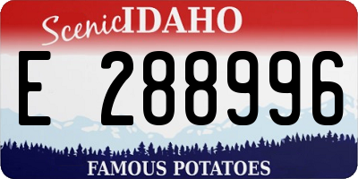 ID license plate E288996
