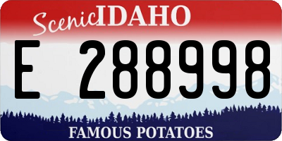 ID license plate E288998