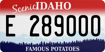 ID license plate E289000