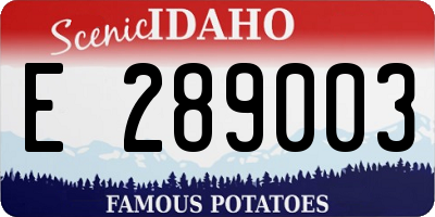 ID license plate E289003