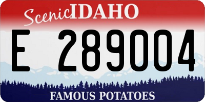 ID license plate E289004