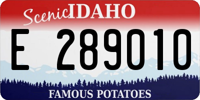 ID license plate E289010