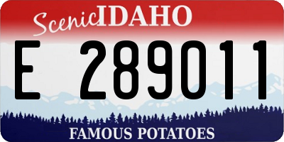 ID license plate E289011