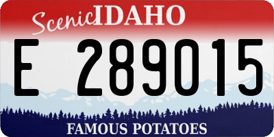 ID license plate E289015