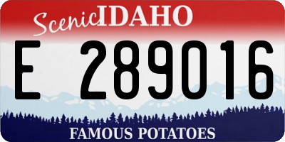 ID license plate E289016