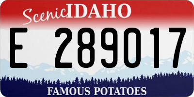 ID license plate E289017