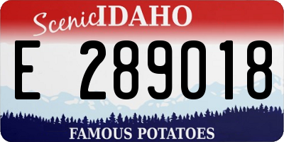 ID license plate E289018