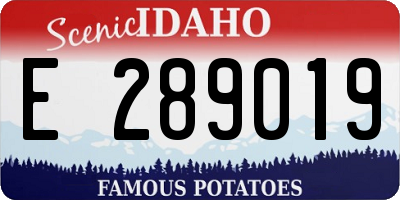 ID license plate E289019